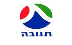 תנובה
